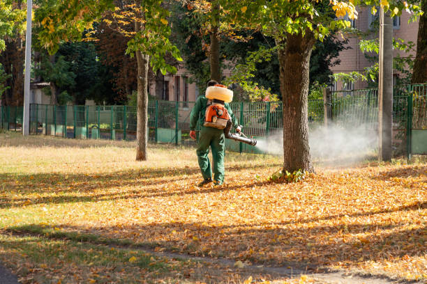 Best Local Pest Control Services  in Belle Mead, NJ