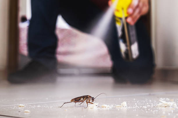 Best Best Pest Control Companies  in Belle Mead, NJ